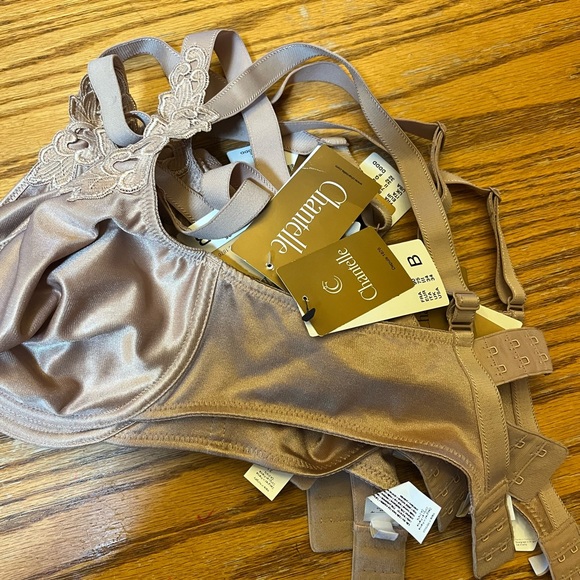 NWT Chantelle Hedona 2031 minimizer bra in nude - Picture 4 of 4